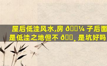 屋后低洼风水,房 🌼 子后面是低洼之地但不 🕸 是坑好吗